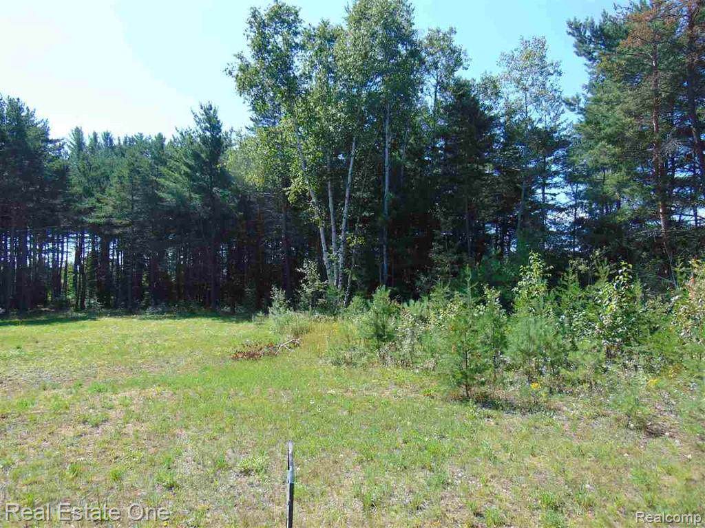 100 Quandt Trail - Photo 1
