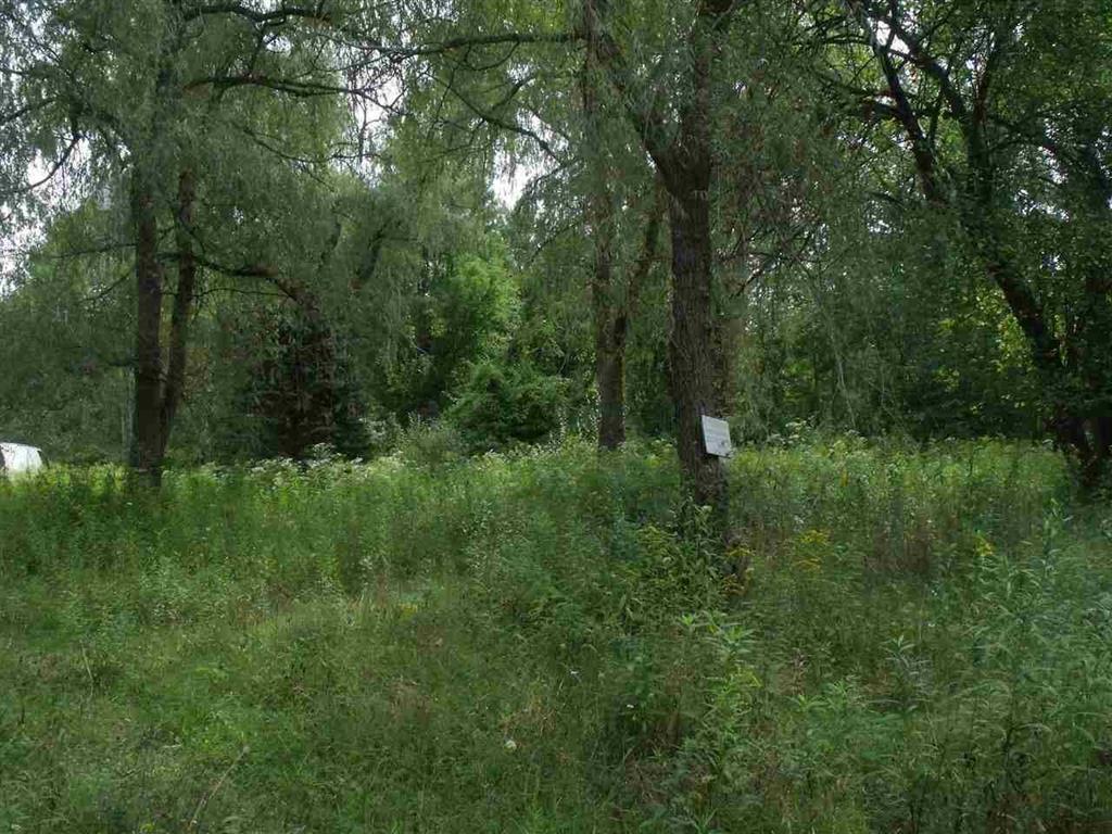 3891 Oak Road - Photo 1