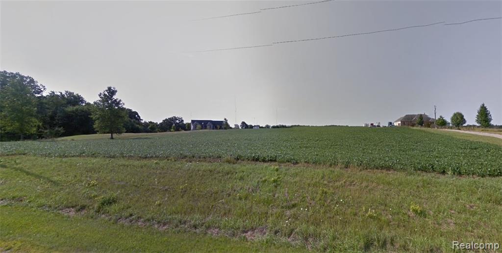 VL Clinton-Macon Road - Photo 1