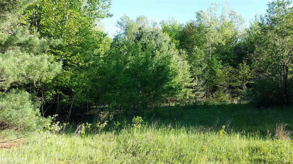 0 Barnes Lake Road - Photo 1 0 Barnes Lake Road - Photo 1