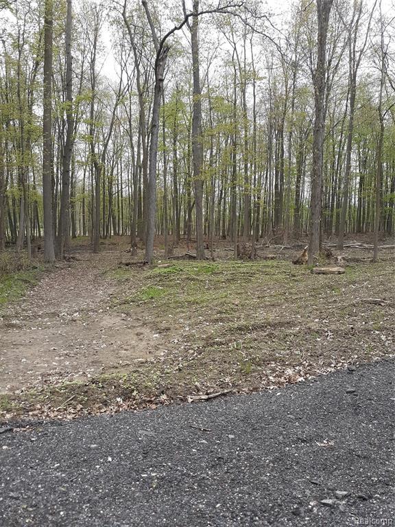 Parcel D Hidden Creek Court - Photo 1
