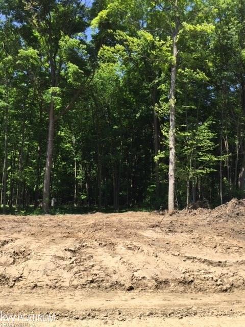 Lot 11 Ashley Ave - Photo 1