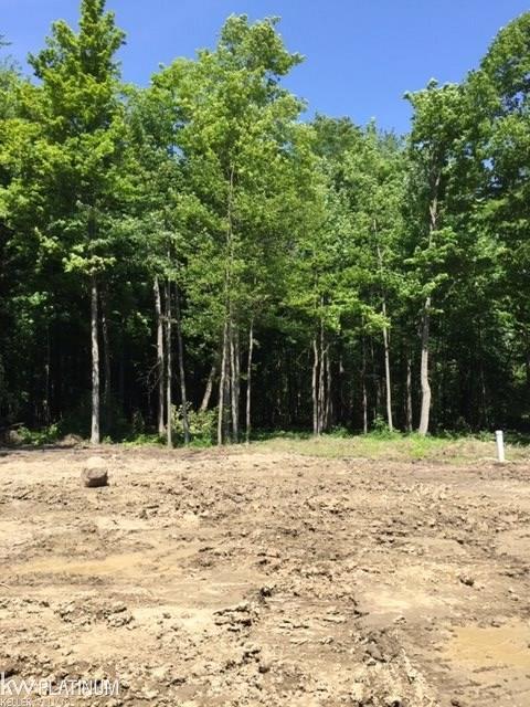 Lot 31 Madeline St - Photo 1