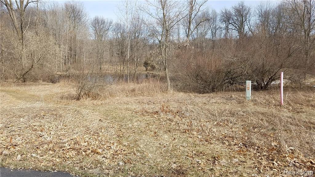00 Hay Rake Hollow Court - Photo 1