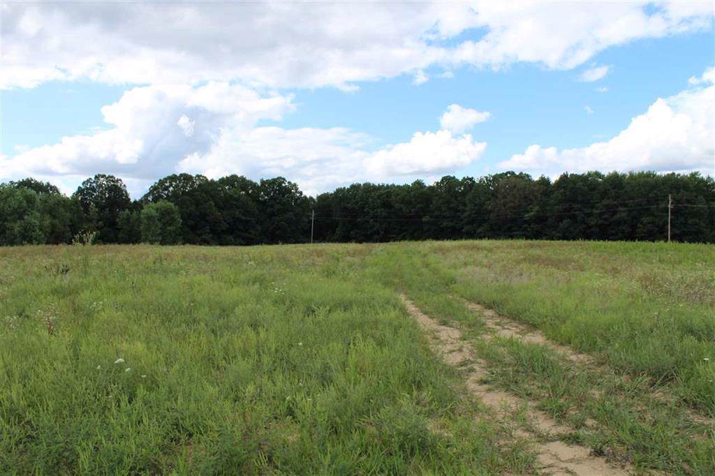 0 Miller Lane - Photo 1