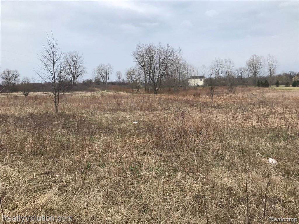 5036 Capac Road - Photo 1