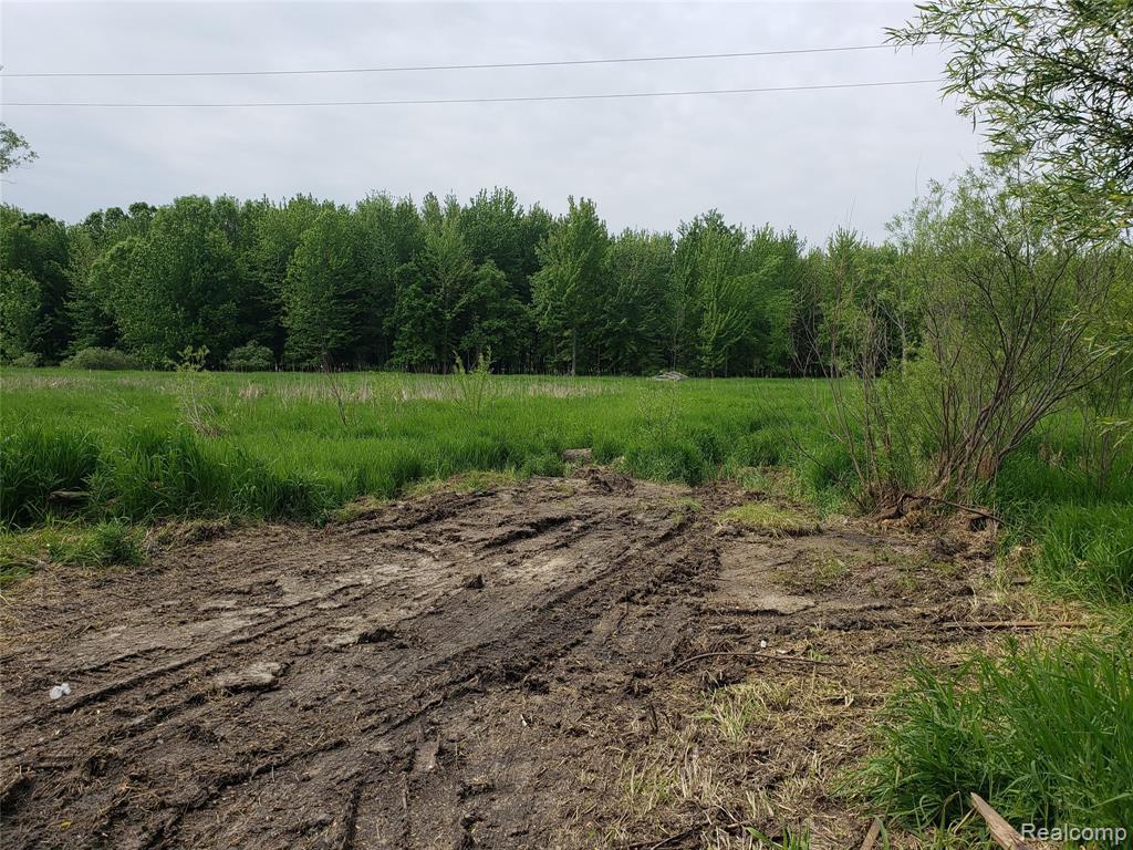8837 Lamoreaux Road - Photo 1