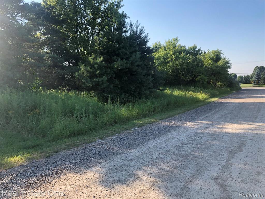 68929 Hillside Lane - Photo 1