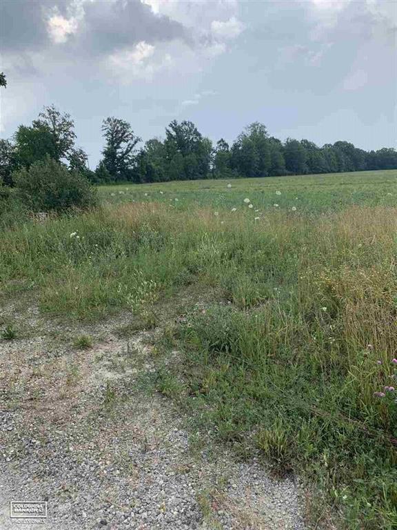 Imlay City Rd Vl East - Photo 1