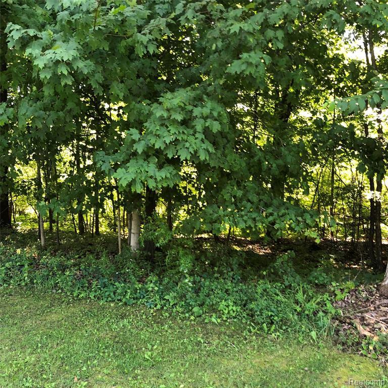 00 Coon Lake - Photo 1