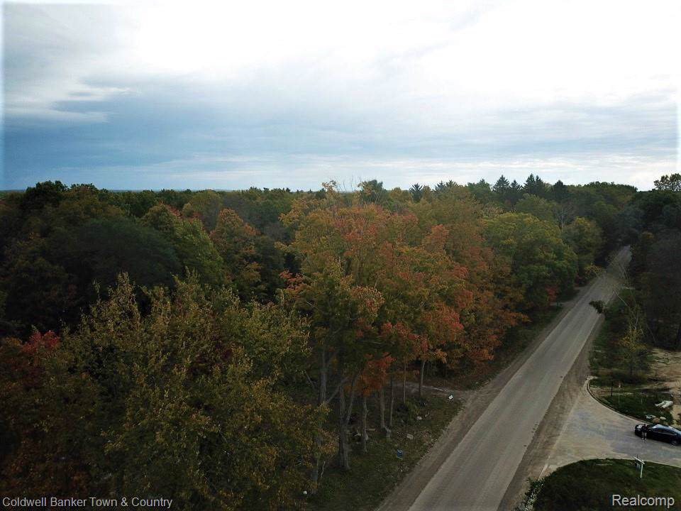 000 Mcclements Rd Parcel B - Photo 1