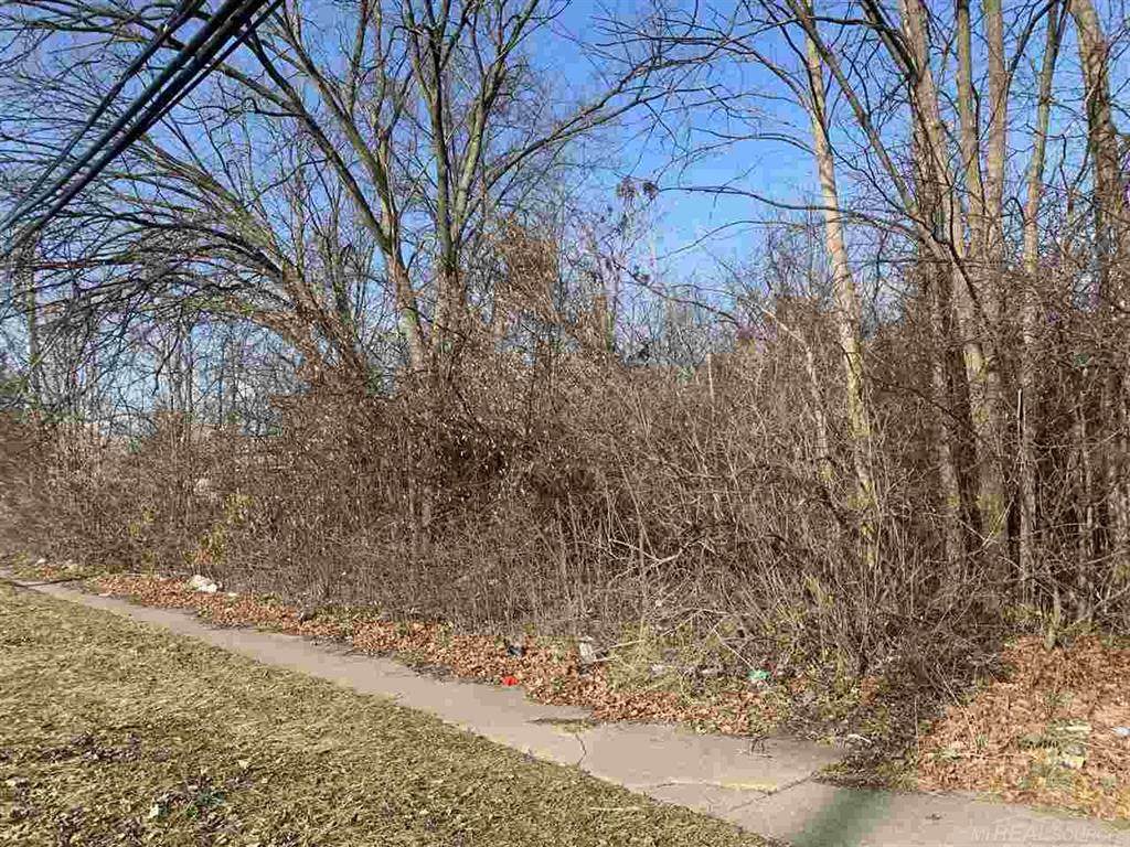 15 Mile - Photo 1