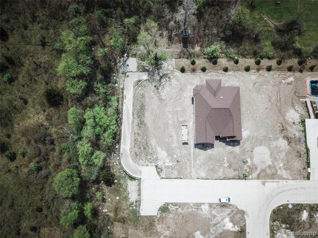 12042 Forest Brook Drive - Photo 1