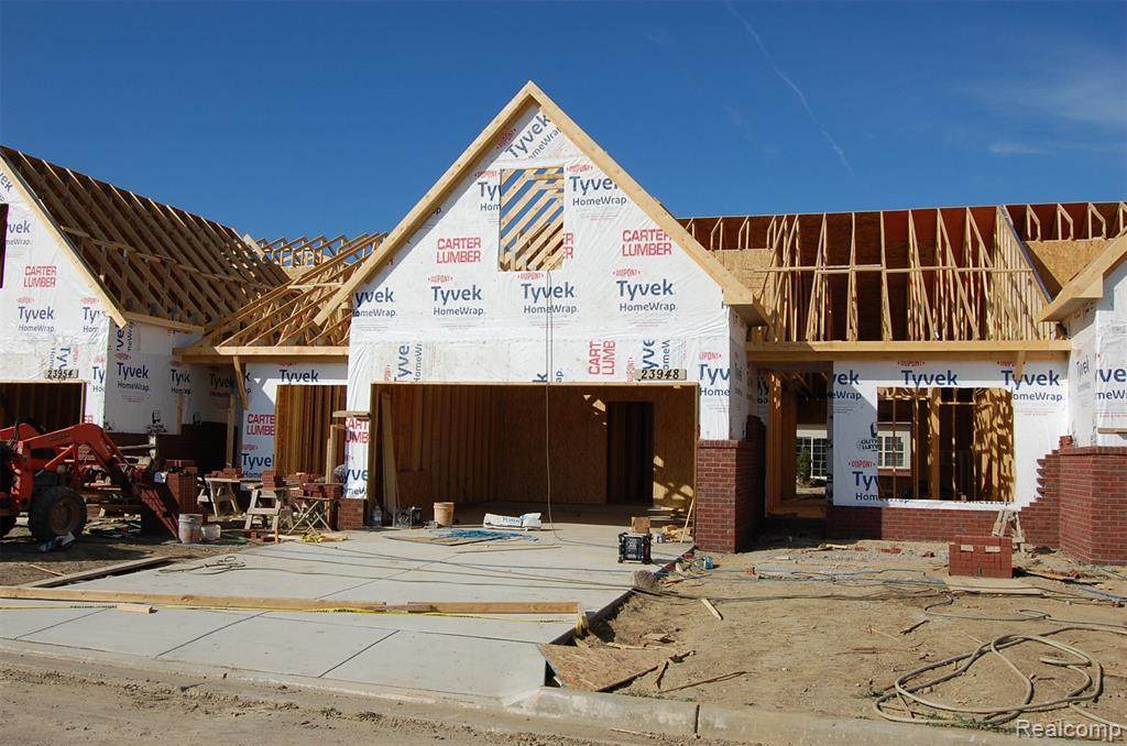 23948 White Pine Street - Photo 1