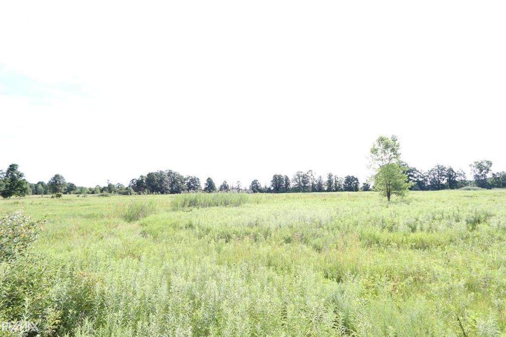VL Windmill Ln - Photo 1