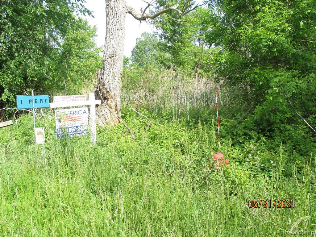 5622 Oakville Waltz Road - Photo 1