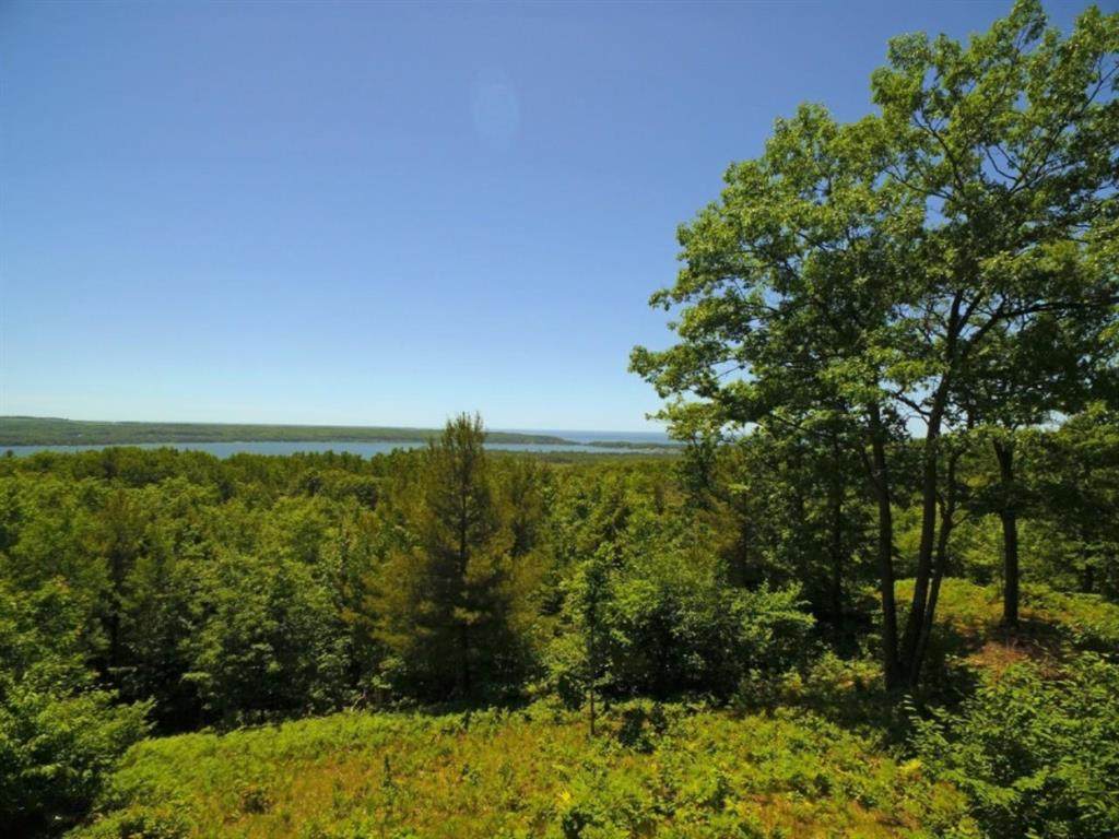 LOT BB Southview Drive - Photo 1