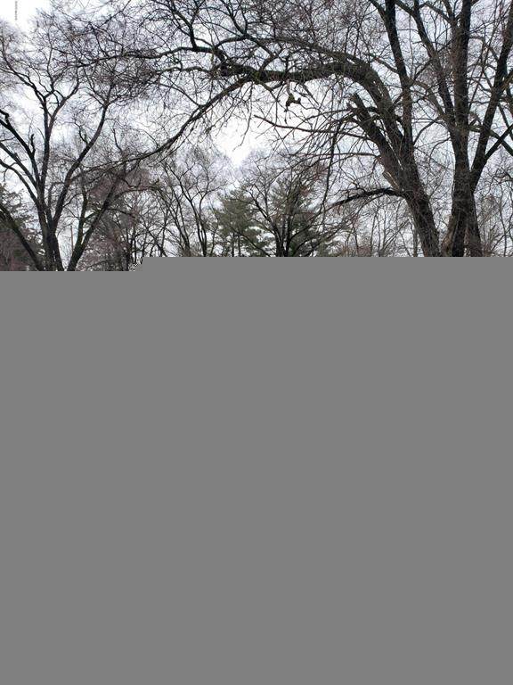 14429 Wuoski Street - Photo 1