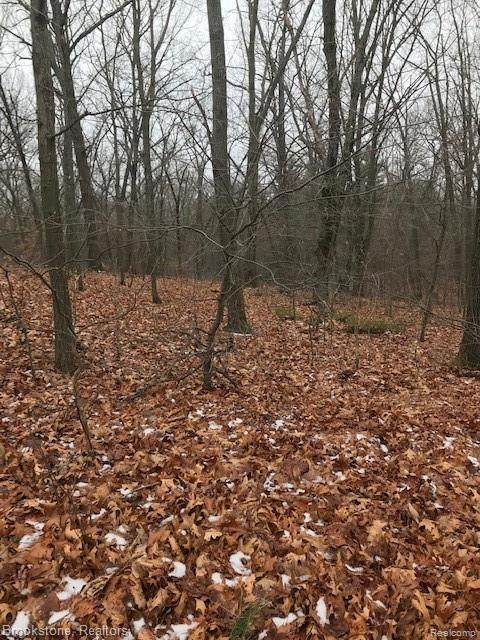 00 Oak Hollow - Photo 1