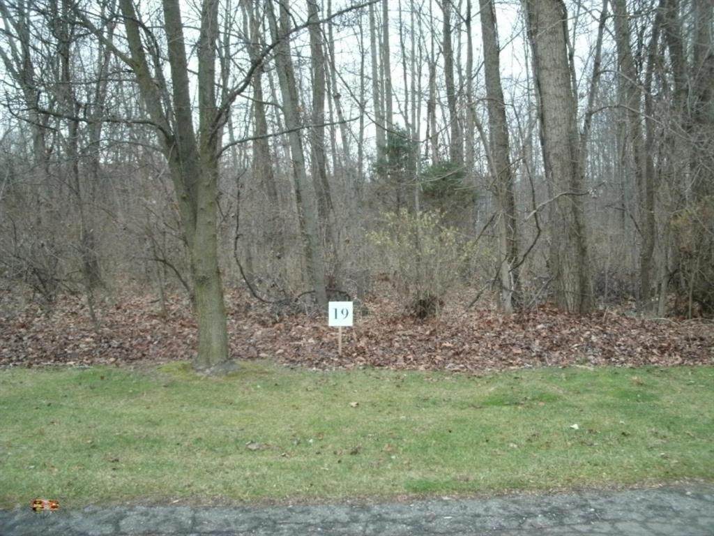 0 Echo Valley Drive - Photo 1