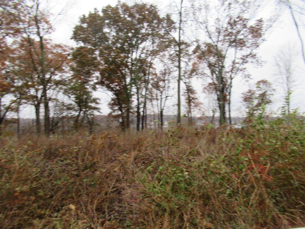 3 Donnell Lake Street - Photo 1