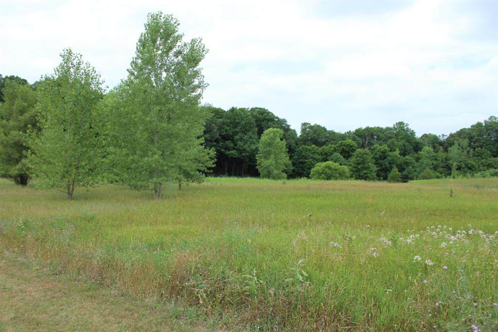 Lot 13 Ross Drive - Photo 1