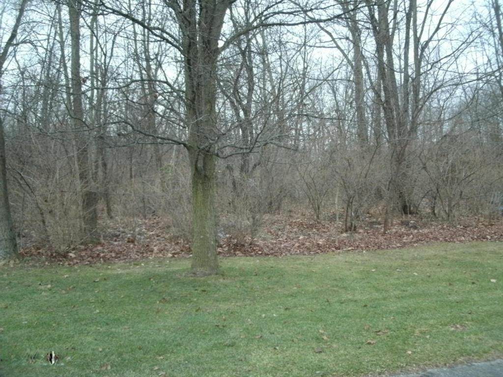 0 Echo Valley Drive - Photo 1