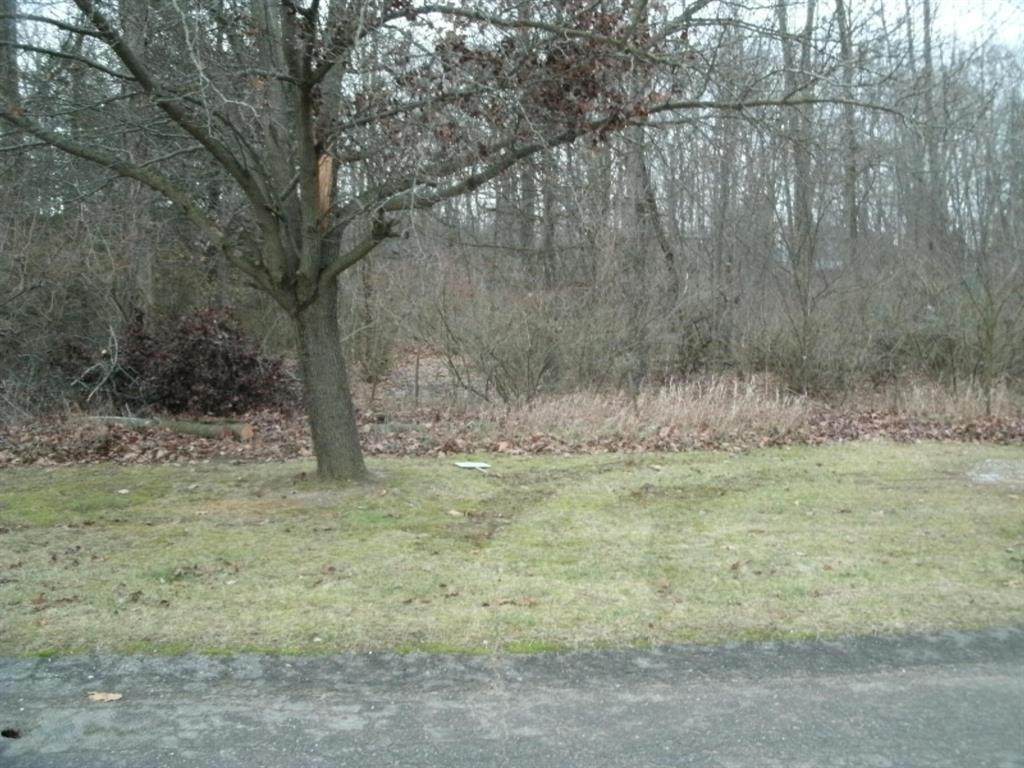 0 Echo Valley Drive - Photo 1