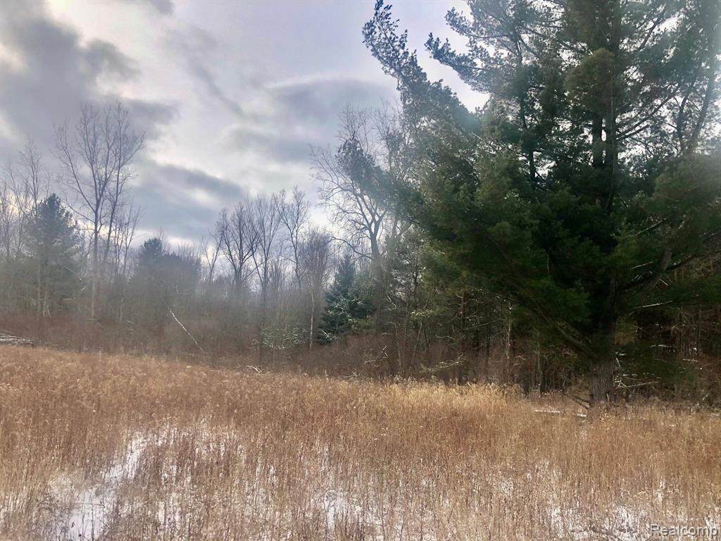 3757 VL Bowers Road - Photo 1