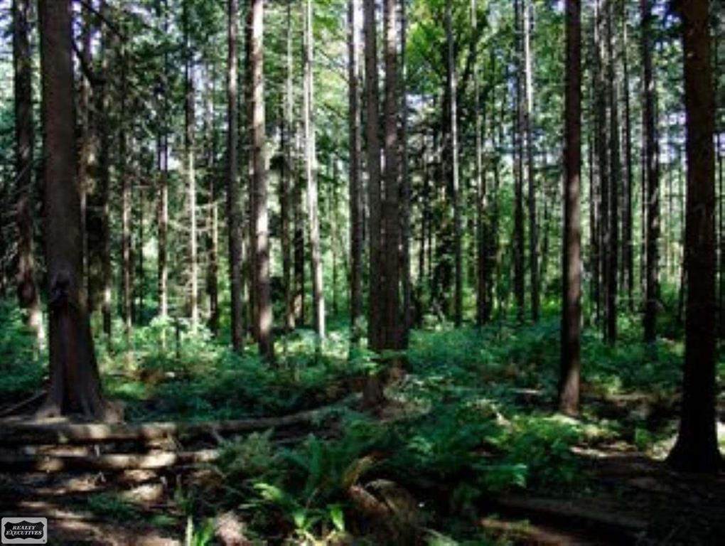 0 Grand Lake Lot#16 - Photo 1