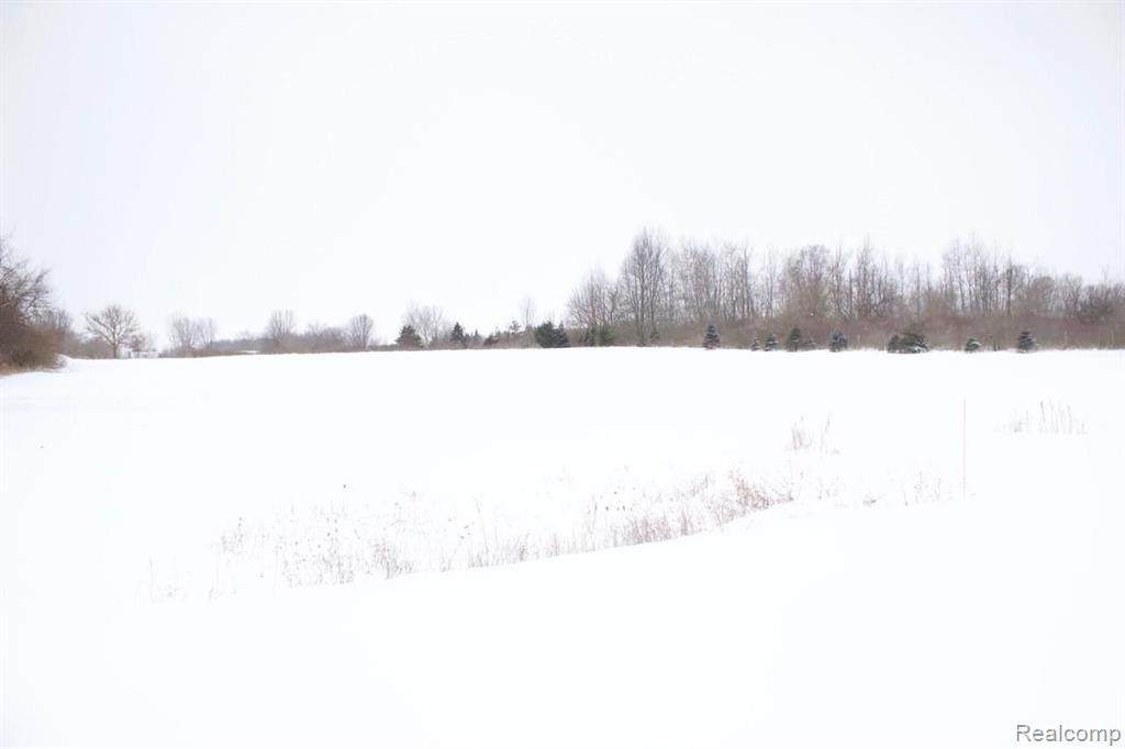 0 Hidden Forrest Drive - Photo 1