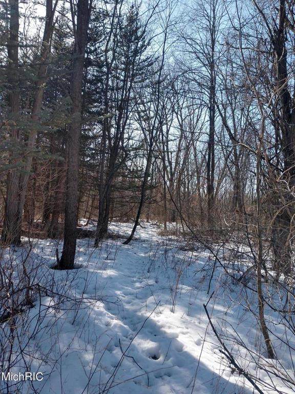 1652 Bella Pines Rd - Photo 1