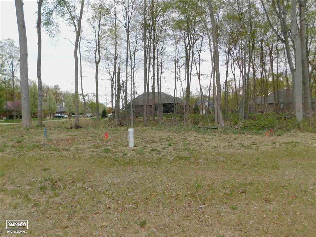 67850 Madeline Street - Photo 1
