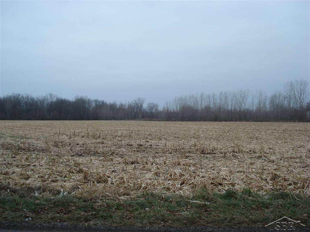 6295 Dutch - Photo 1