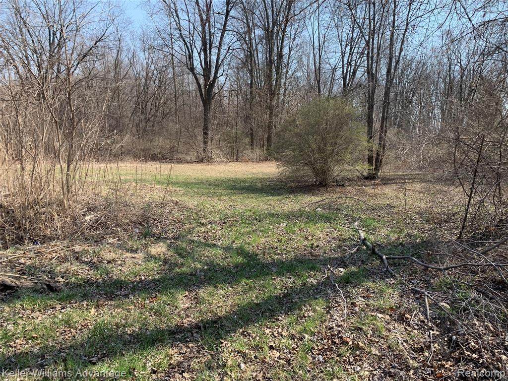 0 Ecorse Road - Photo 1