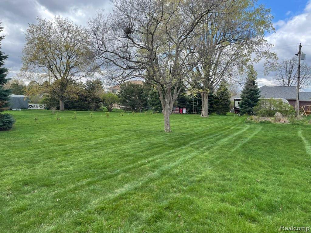 0 S Forest Avenue - Photo 1