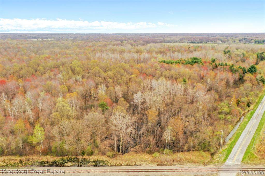 7000 Canada Road - Photo 1