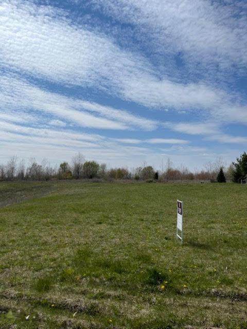 14386 Cb Macdonald Way - Photo 1
