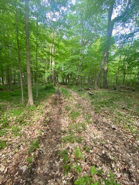 00 Porter Road - Photo 1