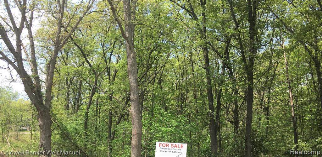 4494 Maybee Road - Photo 1
