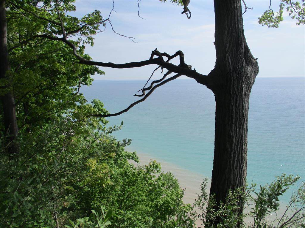 V/L Lakeshore Drive - Photo 1