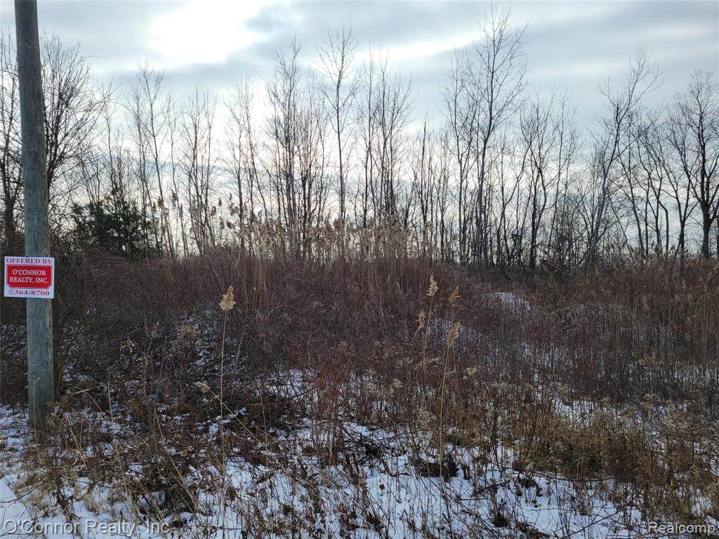 0 Belle River - Photo 1