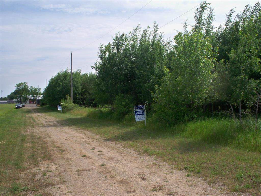 PARCEL 3 Musgrove Highway - Photo 1
