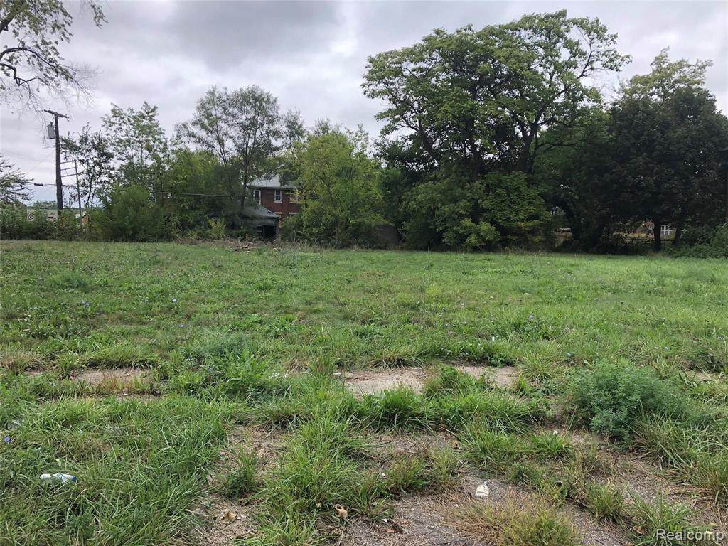 6122 Rosa Parks Boulevard - Photo 1