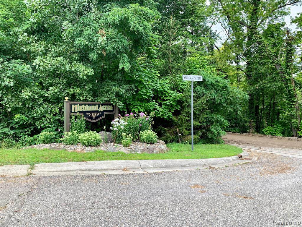 16142 Catalpa Ridge Drive - Photo 1