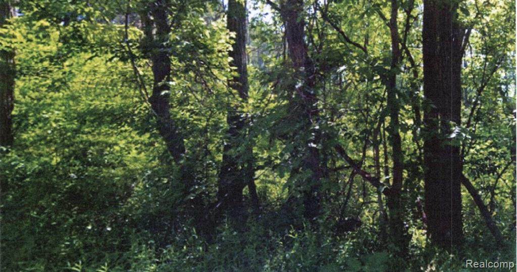 5800 Ford Road - Photo 1