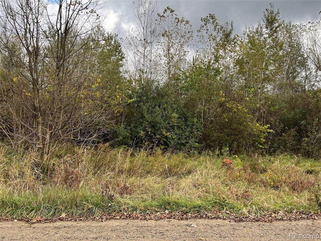 000 Martinsville Road - Photo 1