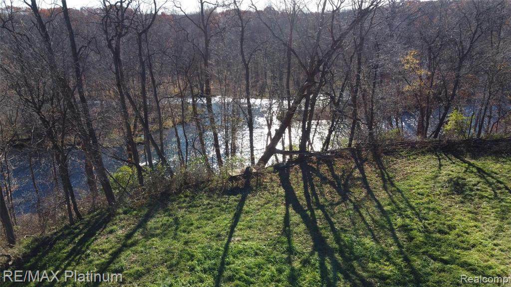 V/L Dexter Pinckney Road - Photo 1