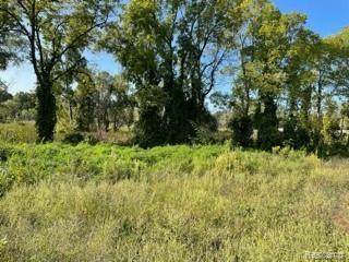 5519 Amys Way - Photo 1