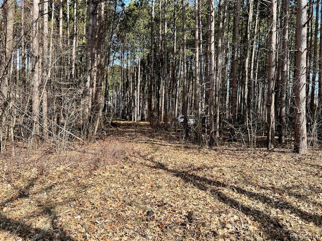 9047 Pineview River Drive - Photo 1